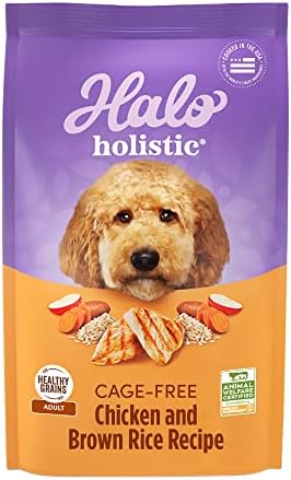 Halo Holistic Dog Food, Complete Digestive Health Cage-Free Chicken and Brown Rice Recipe, Dry Dog Food Bag, Adult Formula, 21-lb Bag