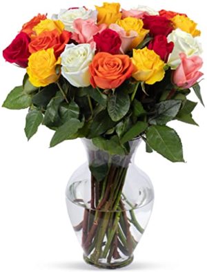 BENCHMARK BOUQUETS – 24 stem Rainbow Roses (Glass Vase Included), Prime Next-Day Delivery, Gift Mother’s Day Fresh Flowers